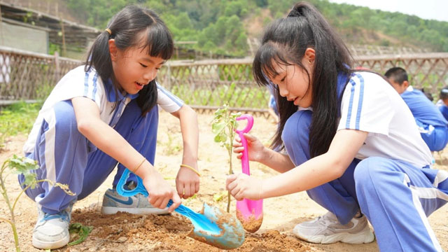 小知青下乡记之大鹏中心小学