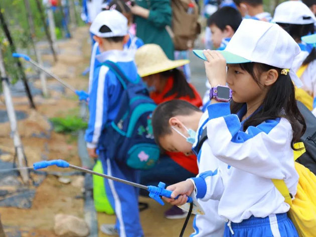 小知青下乡记之福苑小学